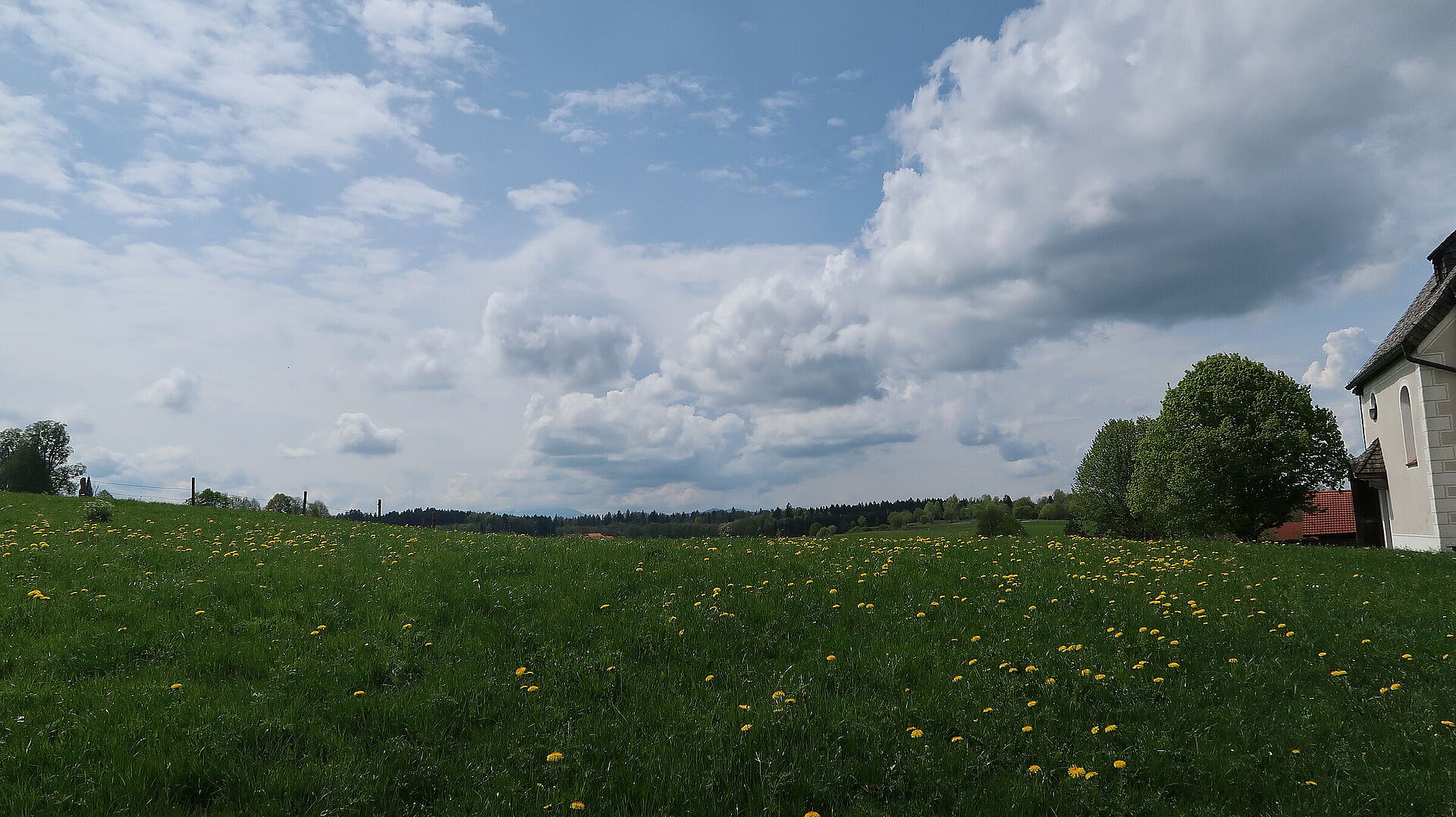 B - BUND Naturschutz In Bayern E.V.