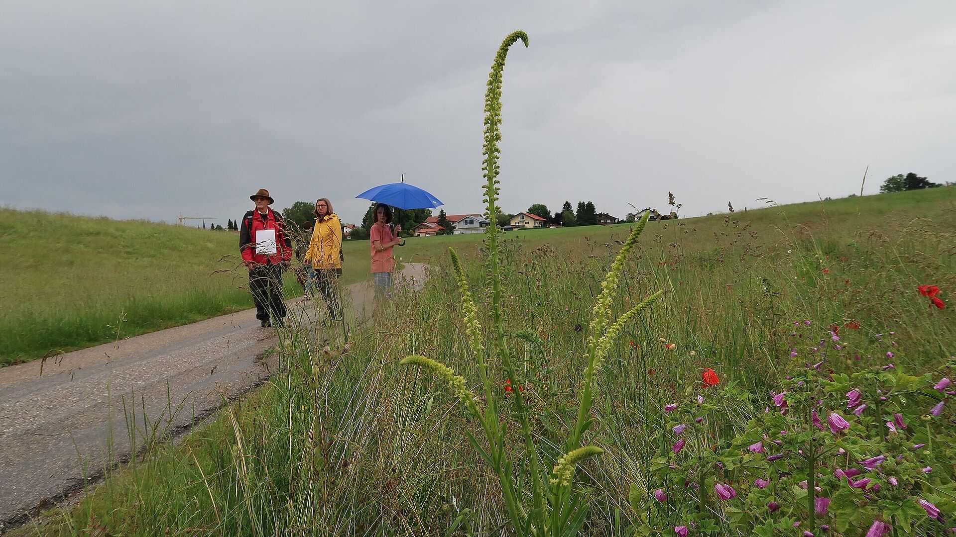 JHV 2021 BUND Naturschutz in Bayern e.V.