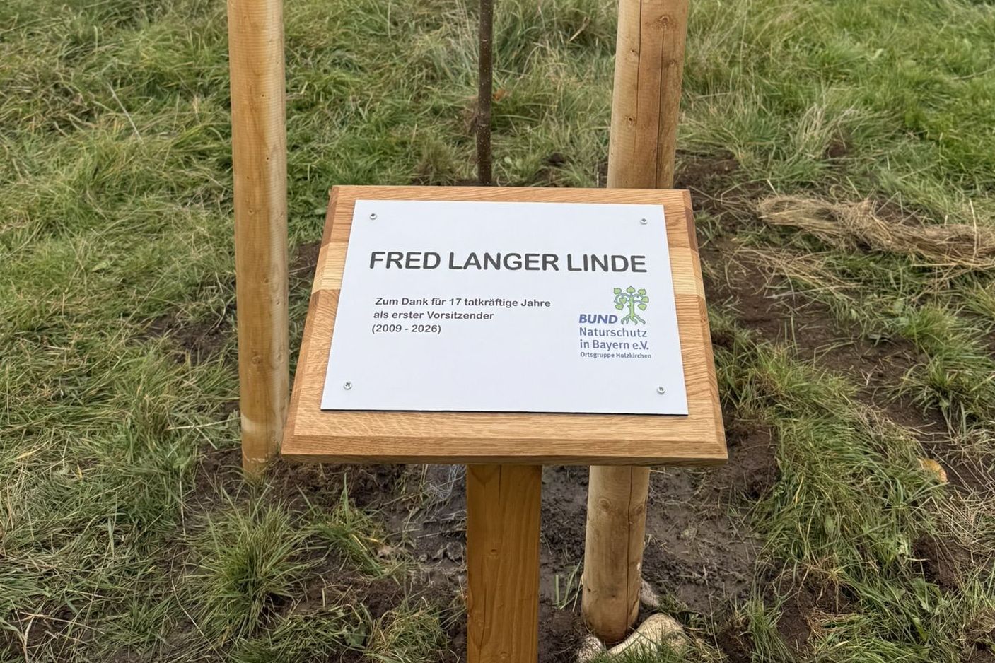 Schild Schild